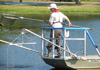 Fish Tissue Monitoring 