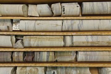 Several rock core samples in a large storage tray